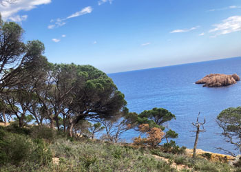 Kid enjoying hiking in Sant Feliu